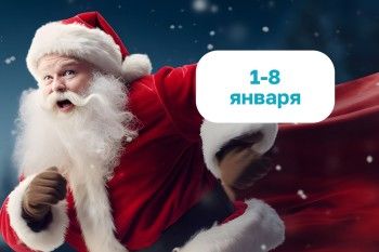 Новогодние праздники! 